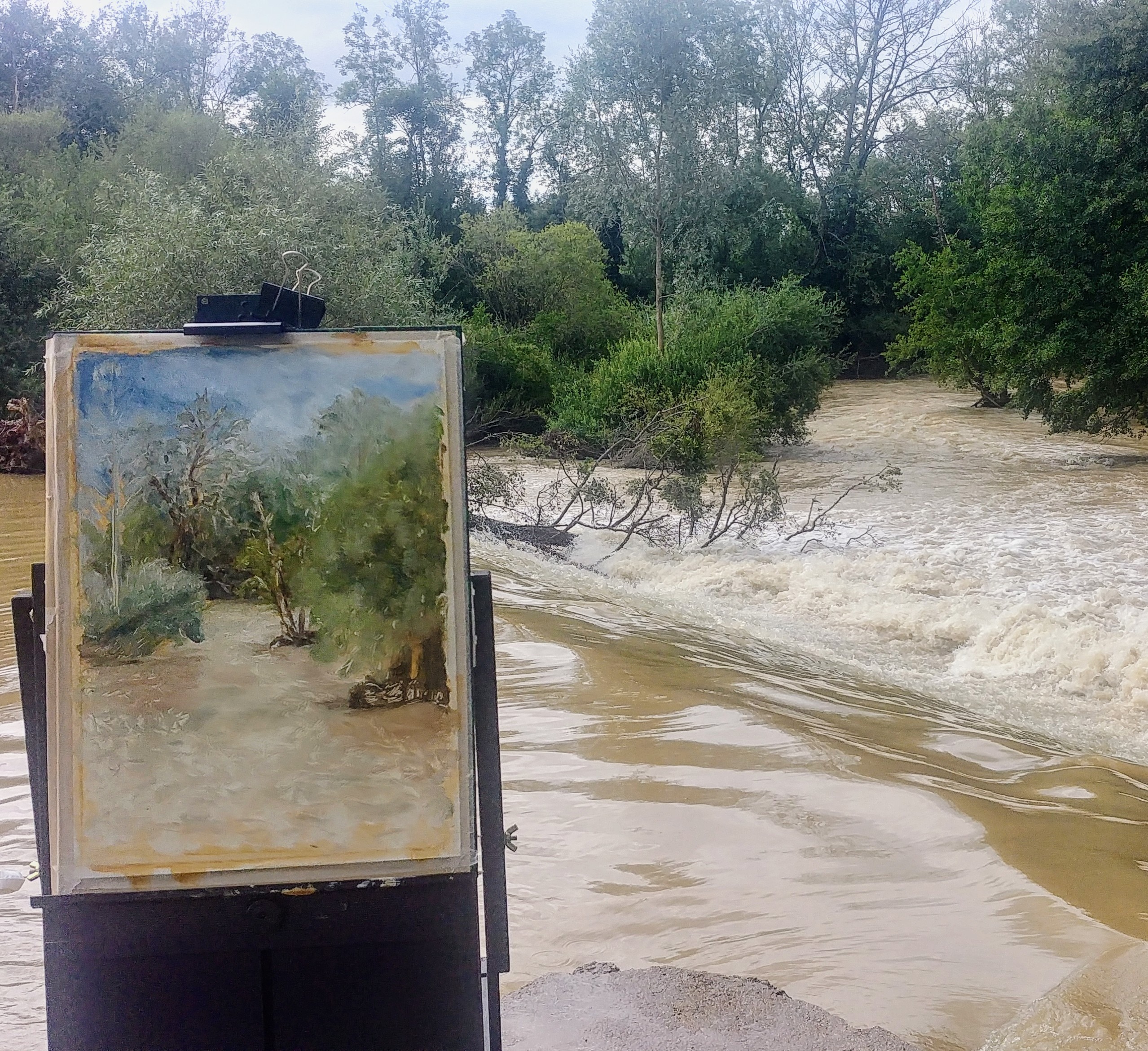 Plein Air Painting Workshop